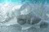 winterICE8's Avatar